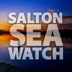 Salton Sea Watch