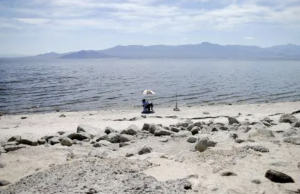In this April 30, 2015, photo, Ed Victoria of Los Angeles sits under an umbrella as he fishes for tilapia along the receding banks of the Salton Sea near Bombay Beach, Calif. The lake is shrinking and on the verge of getting smaller as more water goes to coastal cities. (AP Photo/Gregory Bull)
