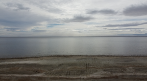 Salton Sea Photo