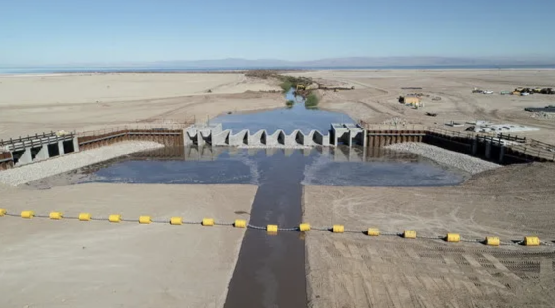 Salton Sea Management Program Milestone Achieved for the Species