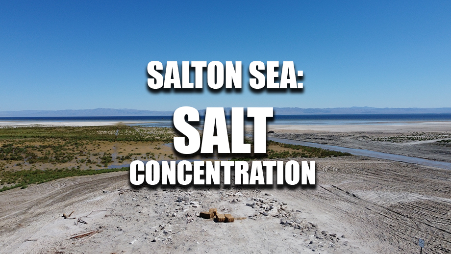 Salton Sea salt concentration in the water. Salton Sea Watch