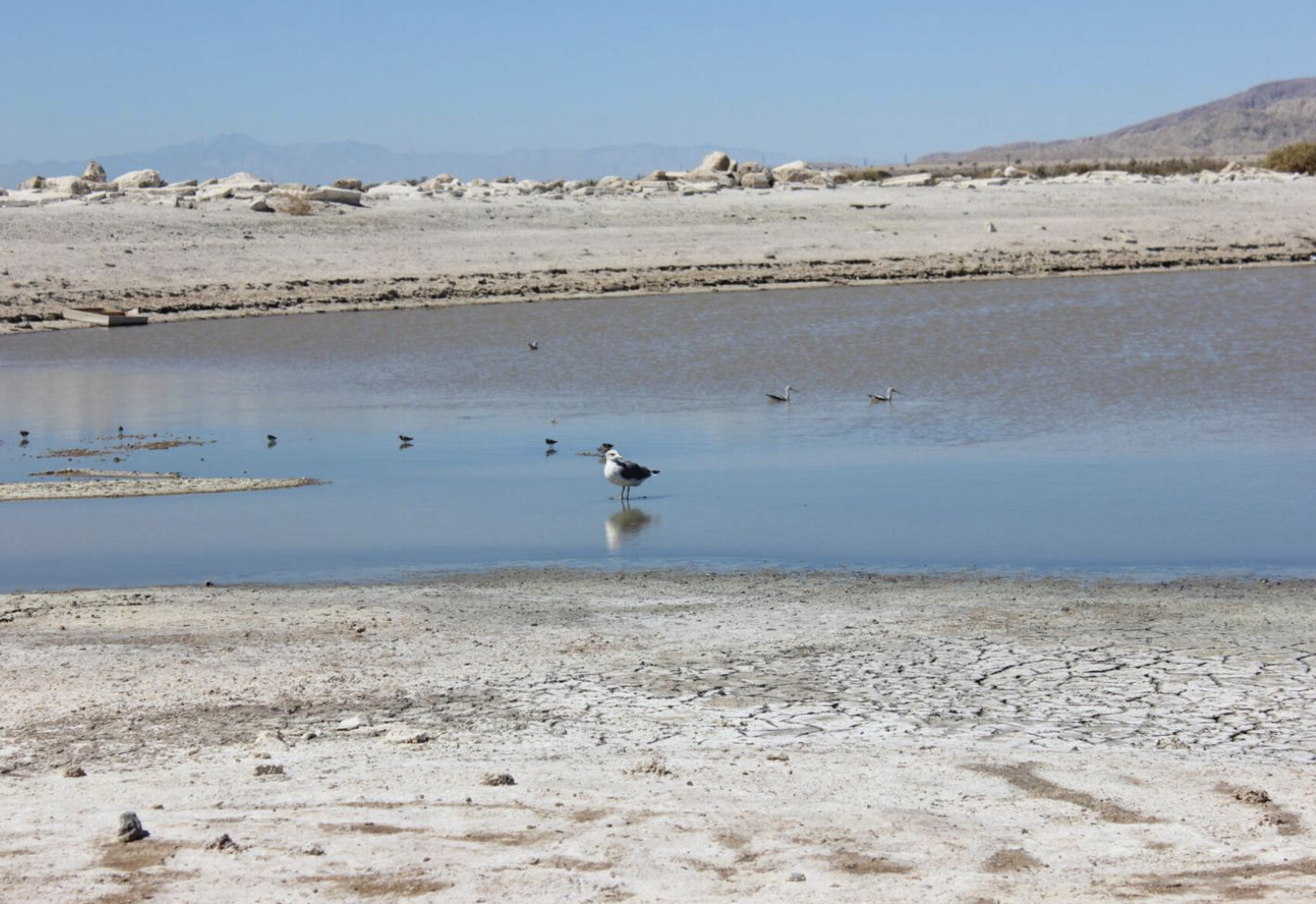 Salton Sea included in $172 million in funding for ports and waterways ...